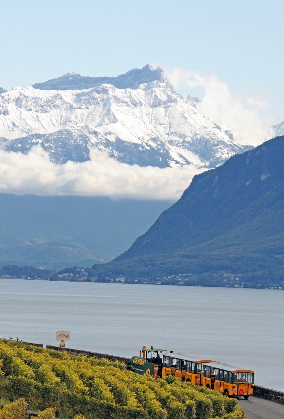 Lavaux express - train dans les vignes vue sur le Léman