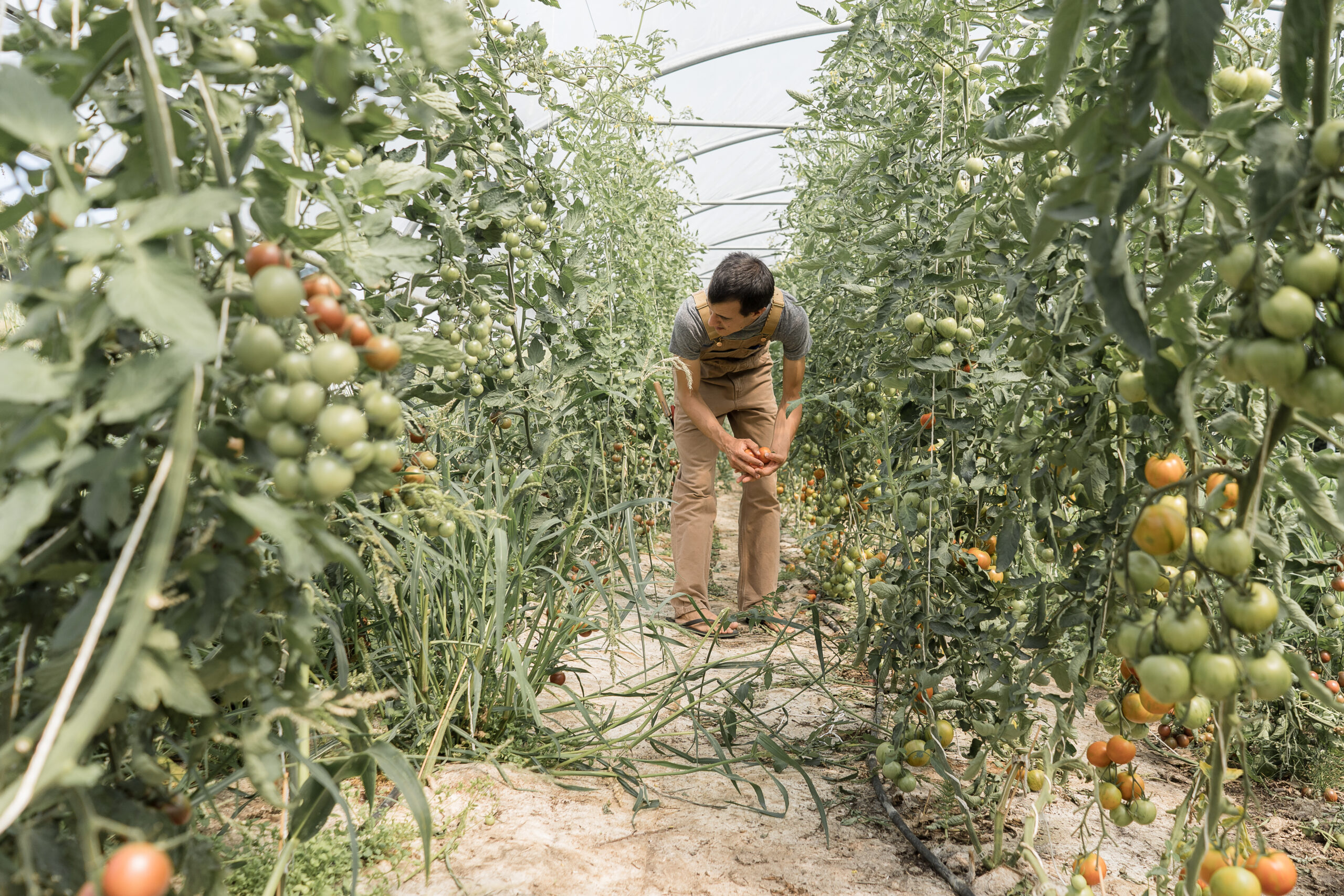 Les Jardins de Chivrageon